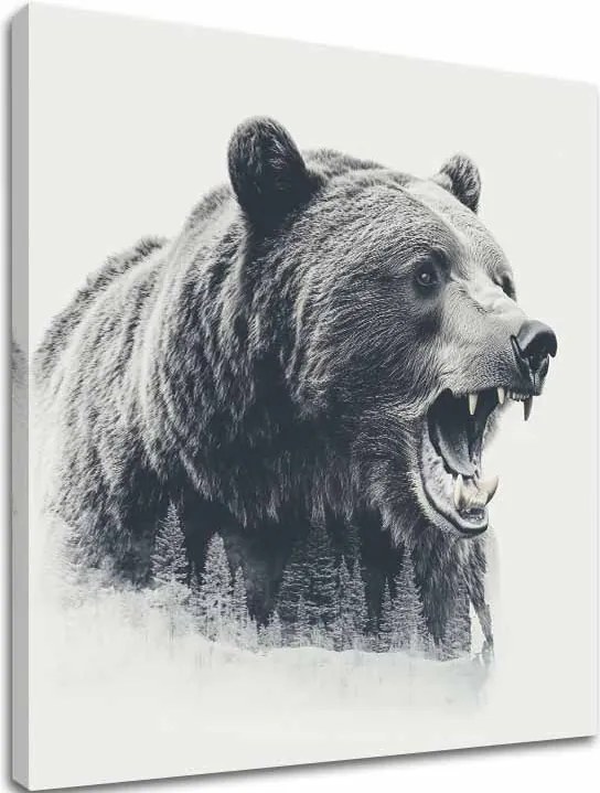 Obraz na plátne Medveď v Hmlistine - Lesný Motív