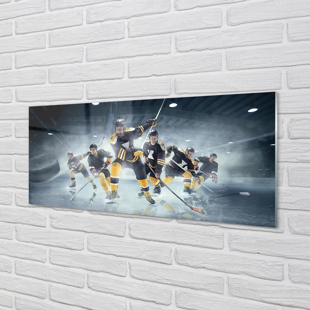 Obraz plexi Hokej 120x60 cm