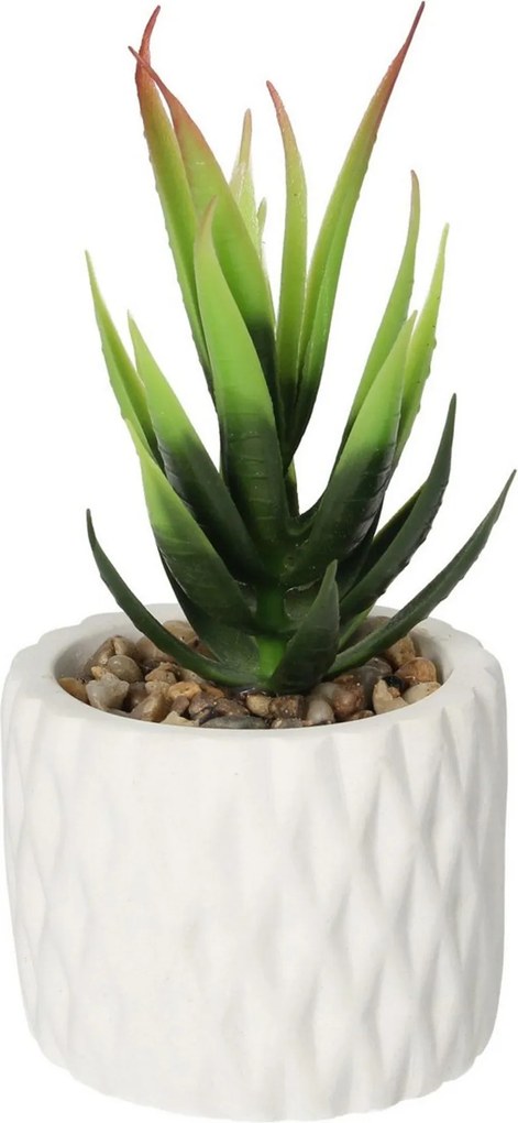 Dekorácie Sansevieria 12cm