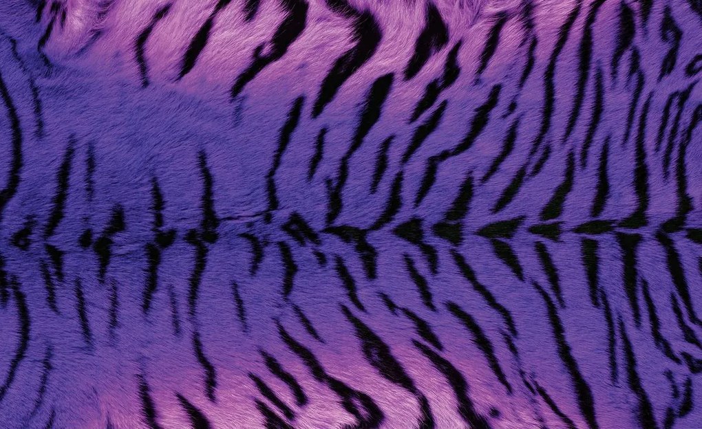 Fototapeta - Tiger (254x184 cm)