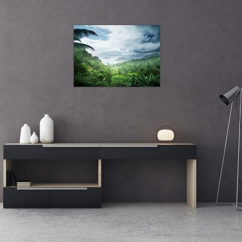 Sklenený obraz - Seychelská jungle (70x50 cm)