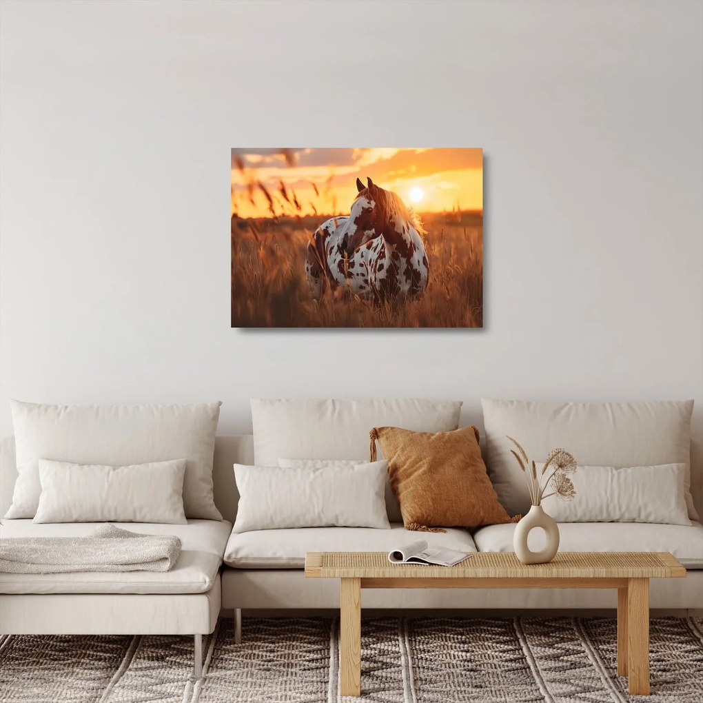 Sklenený obraz - Kôň pri západe slnka (70x50 cm)