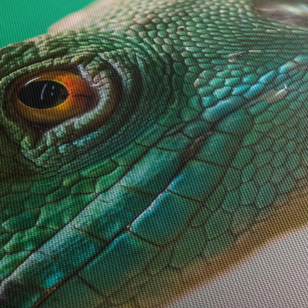 Detailný obraz jaštera (150x105 cm)