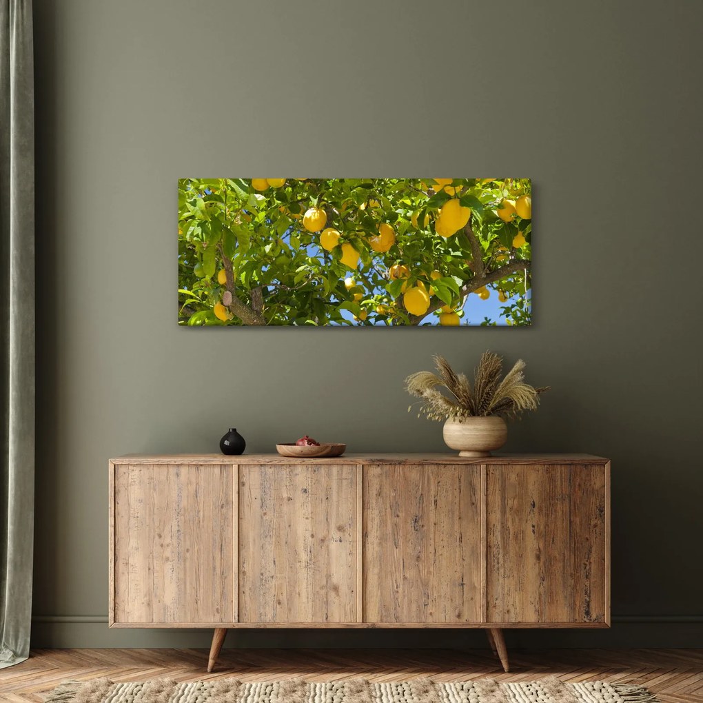 Obraz - Citrónovník (120x50 cm)