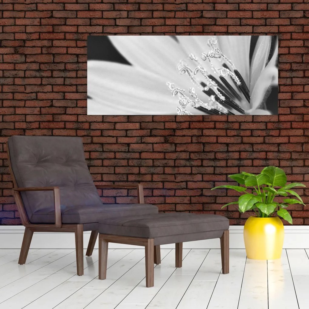 Obraz - Čiernobiely kvet (120x50 cm)