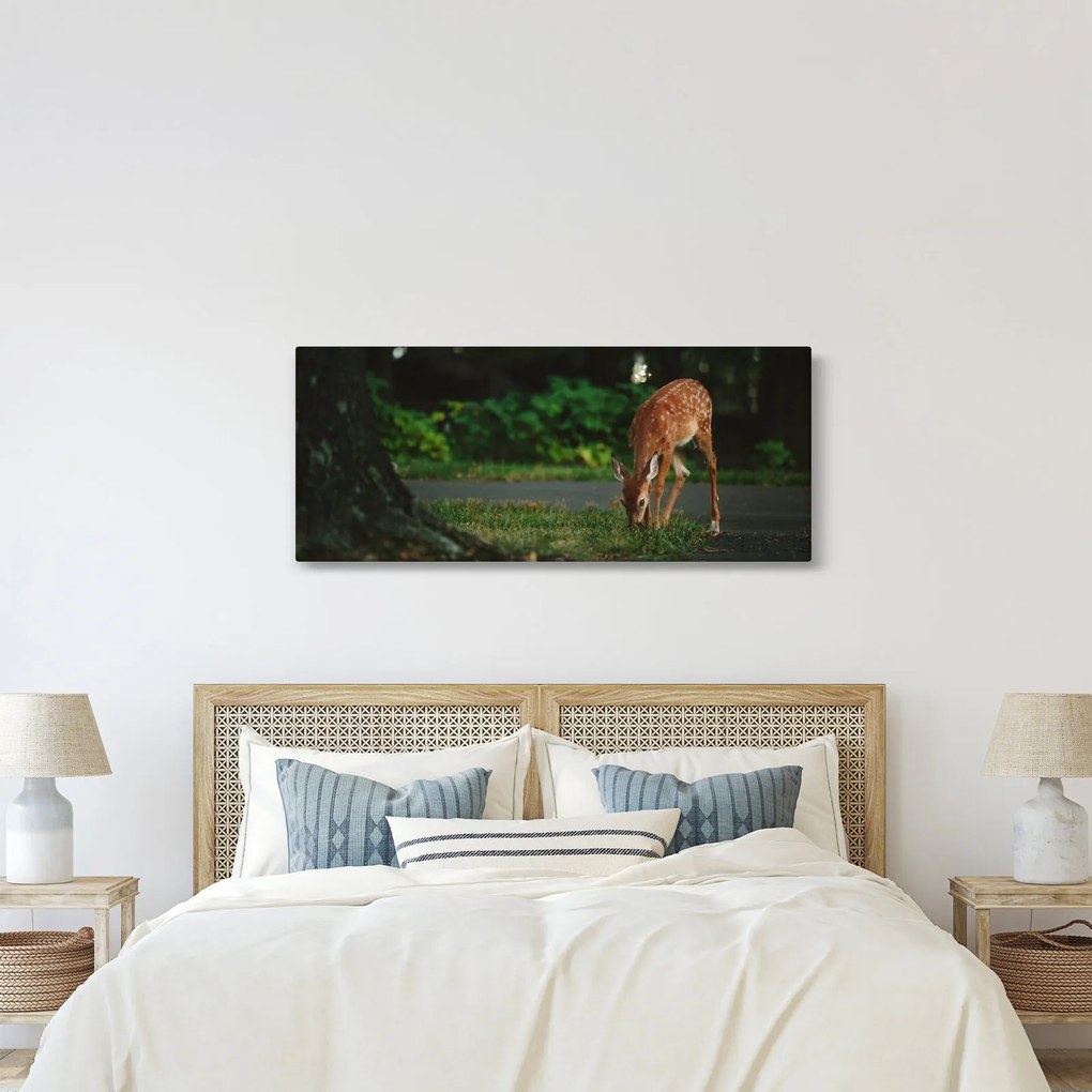 Obraz srnky (120x50 cm)