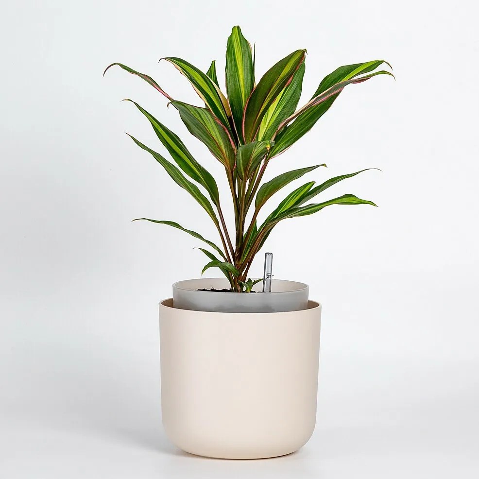 Plastia Samozavlažovací kvetináč Tolita béžová, pr. 19 cm, pr. 19 cm