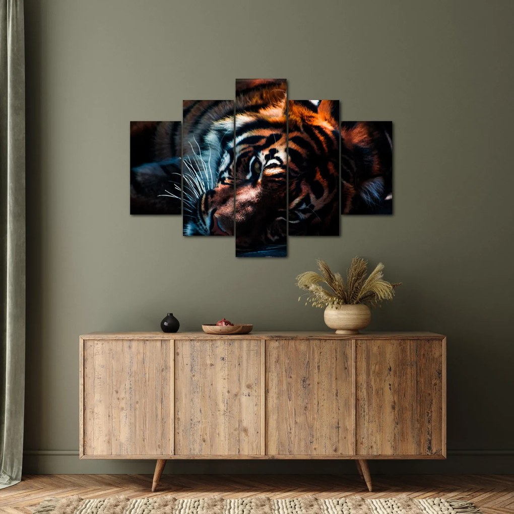 Obraz ležiaceho tigra (150x105 cm)