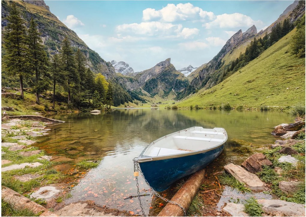 Obraz - Seealpsee, jazero Švajčiarska (70x50 cm)