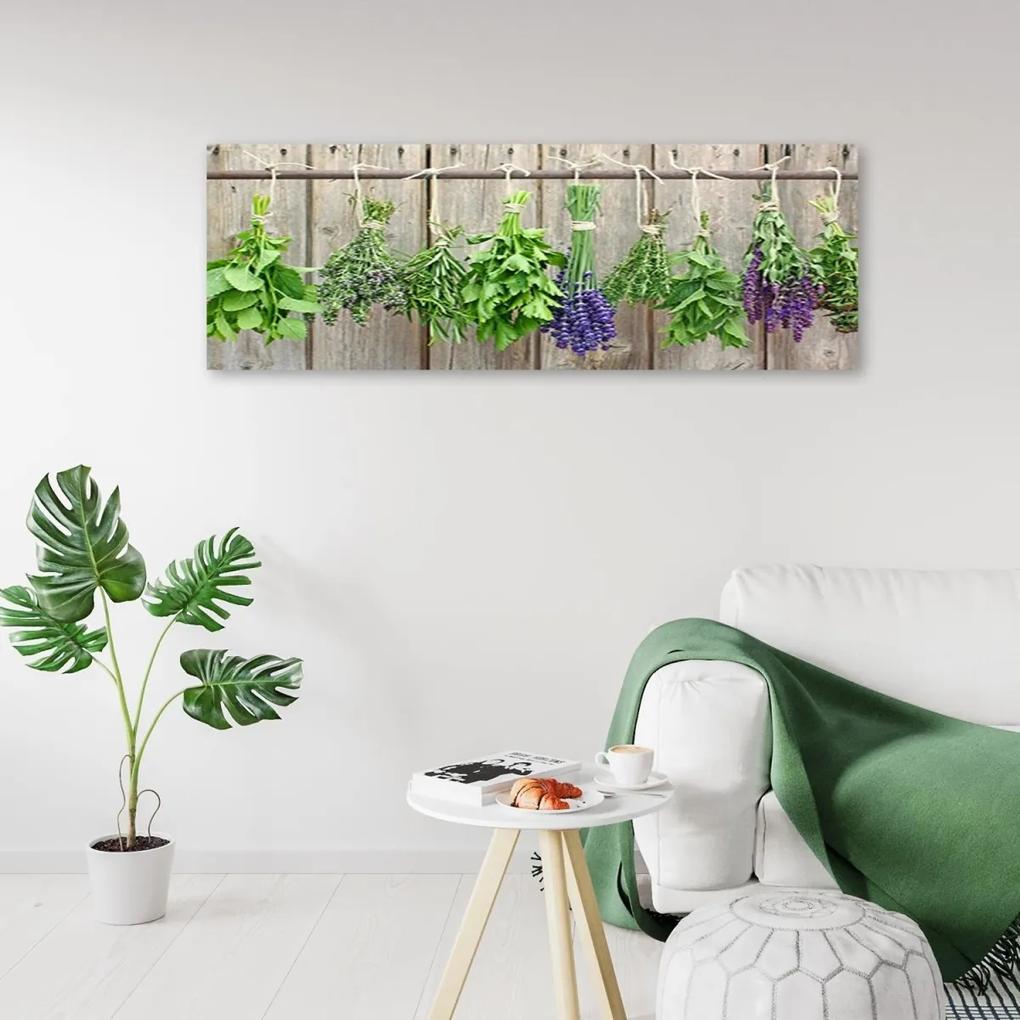 Obraz na plátně, Kuchyňské bylinky Koření - 120x40 cm