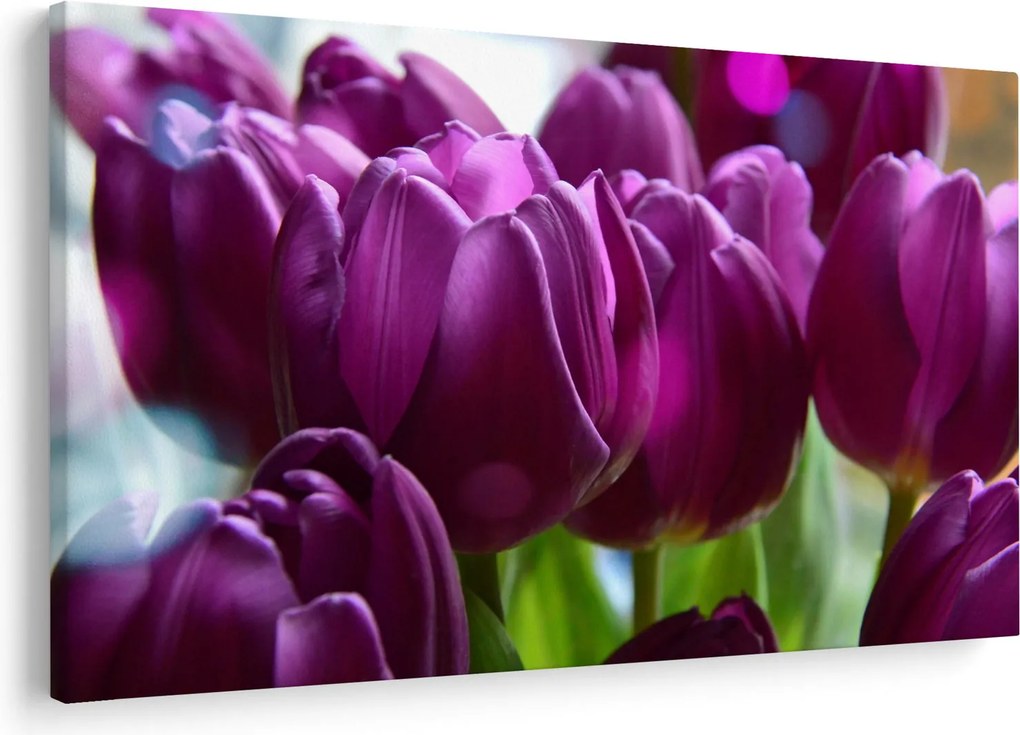 Obraz tulipánov (90x60 cm)
