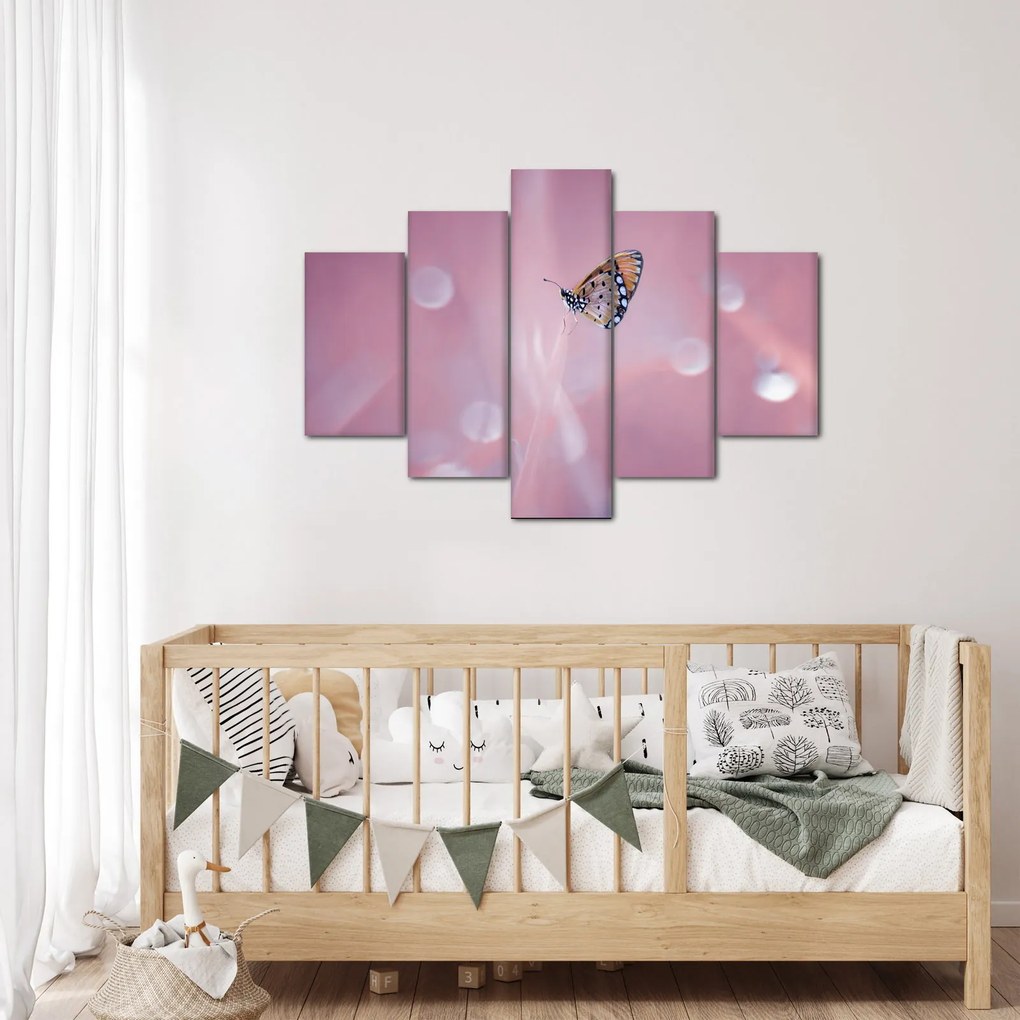 Obraz - Motýlik (150x105 cm)