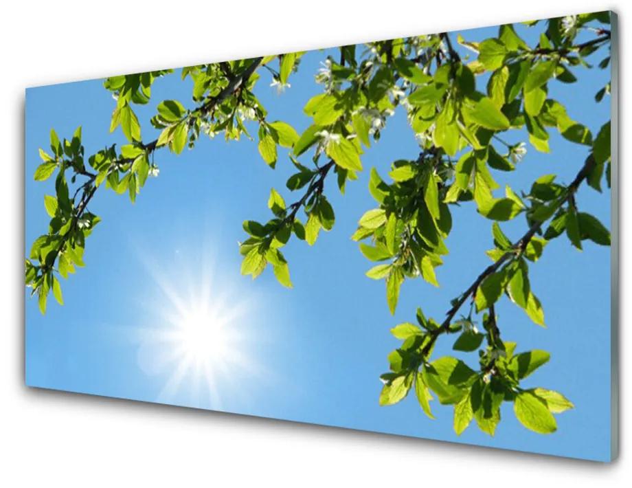 Obraz na skle Slnko príroda 120x60 cm