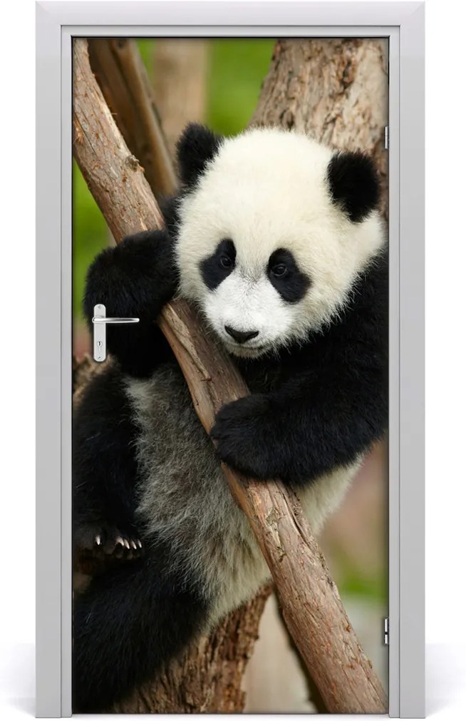 Samolepící fototapeta na dveře Panda na stromě