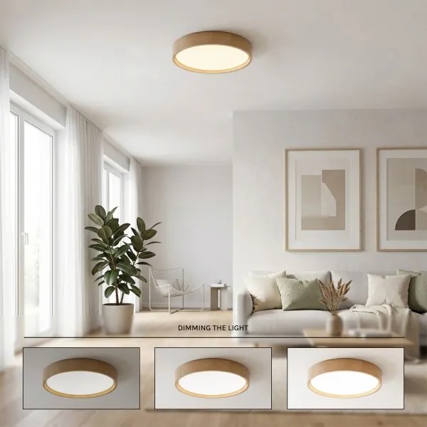BRILAGI - LED stmievateľné stropné svietidlo MANAROLA SMART LED/24W/230V pr. 41 cm + diaľkové ovládanie