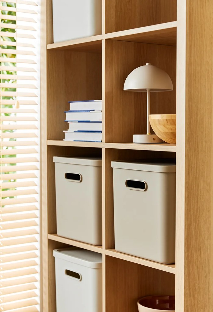 Rotho Úložný box, rovný s víkem, 27l, béžová ALBU LIGHT, 37x29x30