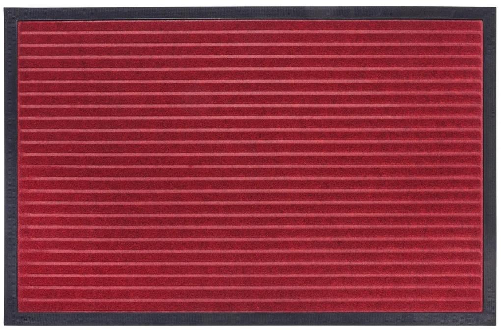 Hanse Home Collection koberce Rohožka Mix Mats Striped 105649 Red - 80x120 cm