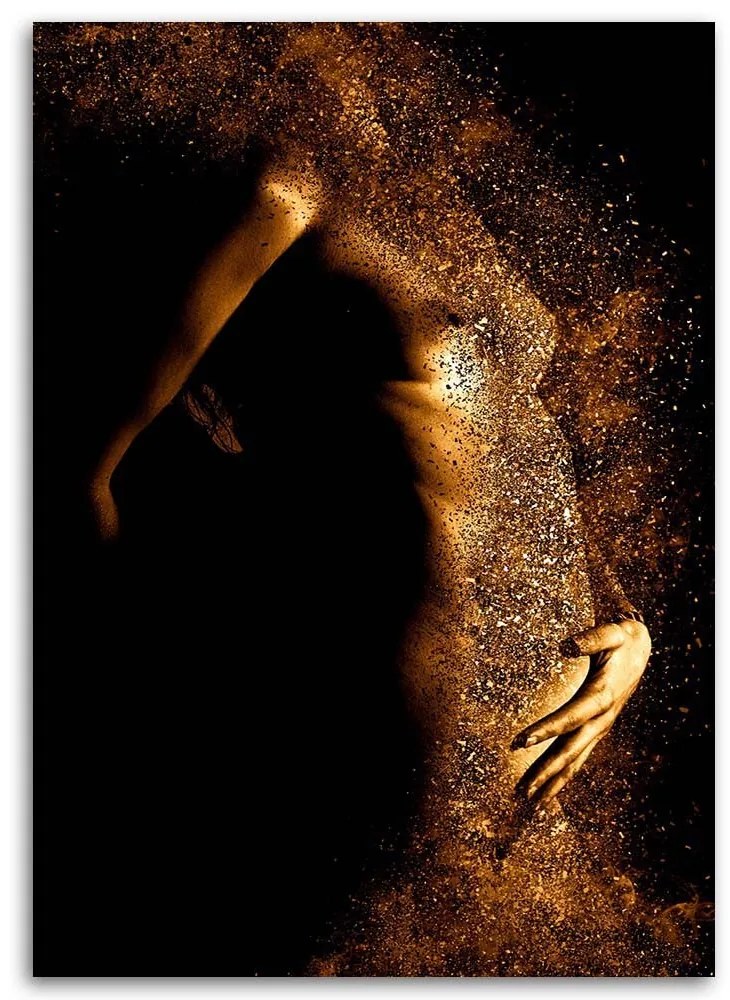 Gario Obraz na plátne Ženský akt v zlatom prachu Rozmery: 40 x 60 cm