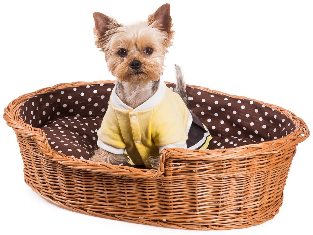 Pelíšok pre zvieratá prútený hnedo-biela poduška Dant V.š. 55 x hl. 40 x v. 18(cm)