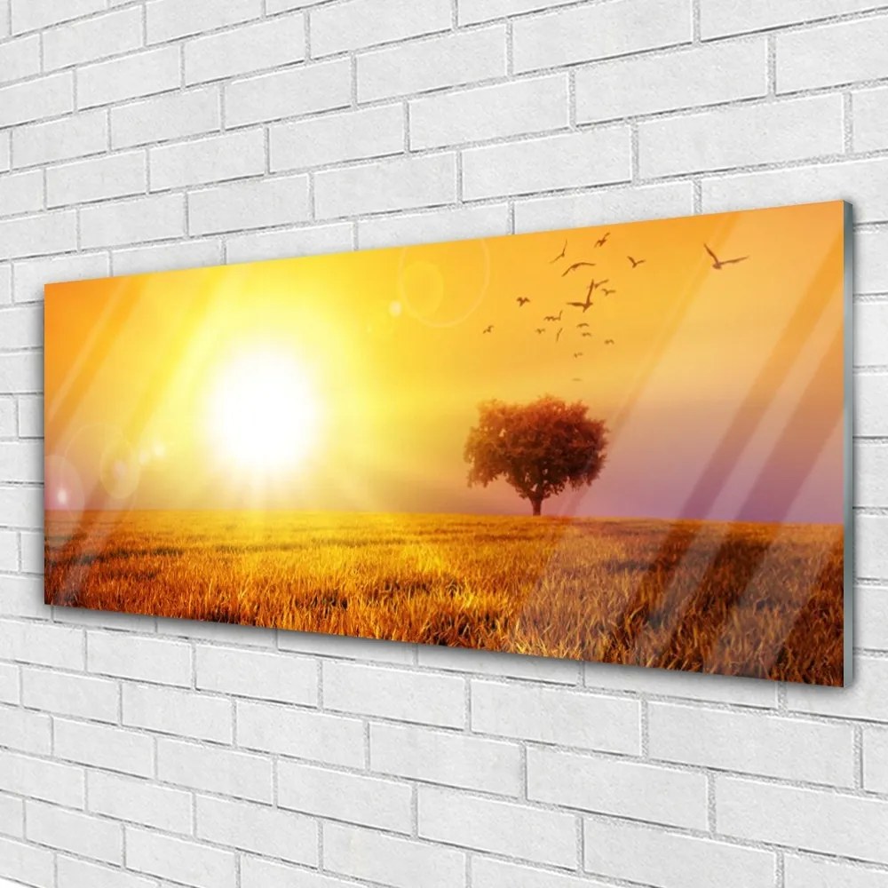 Obraz plexi Západ slnka lúka plátky 125x50 cm