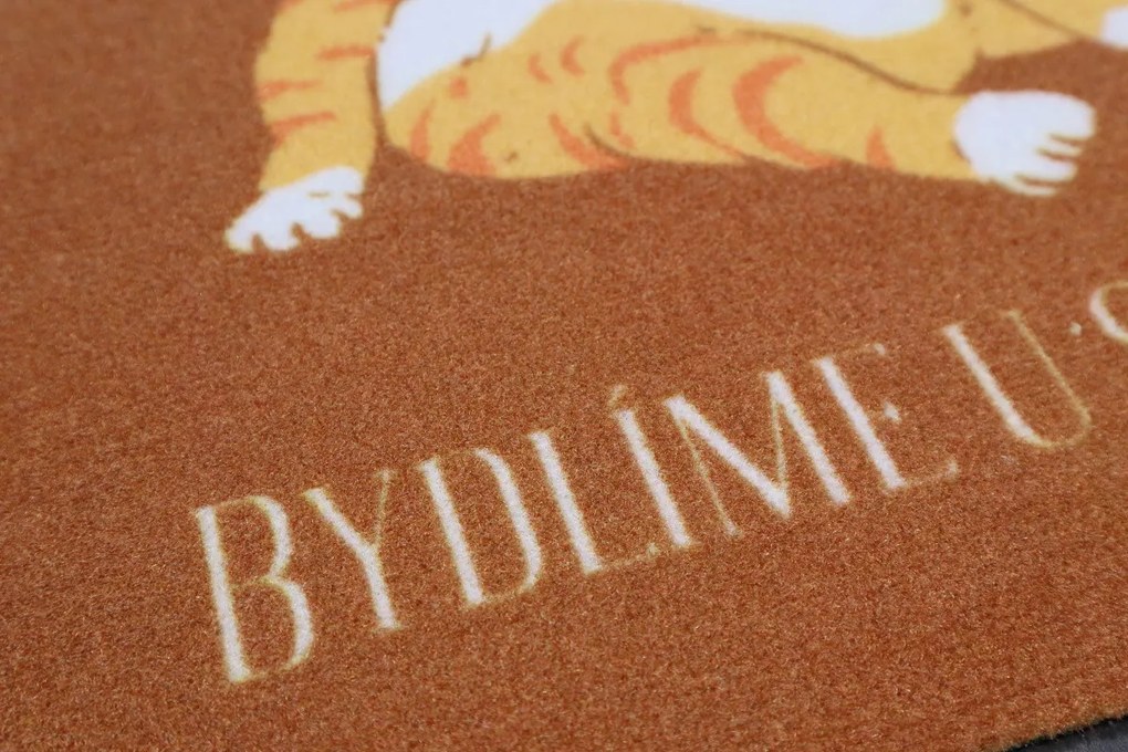 Rohožka Bývame u svojej mačky 40x60 cm, 40x60, oranžová, Mercury Flooring