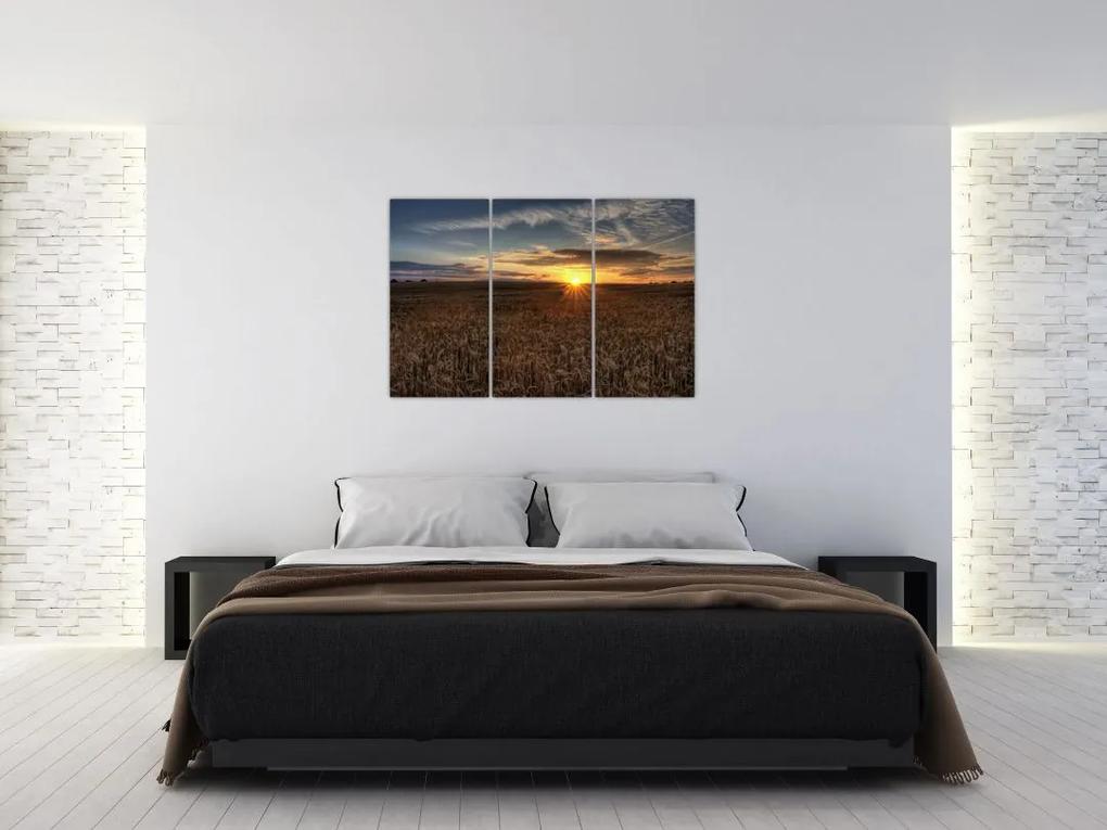 Západ slnka na poli - obraz na stenu