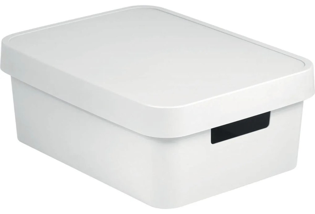 Curver Úložný box INFINITY 11l s vekom biely