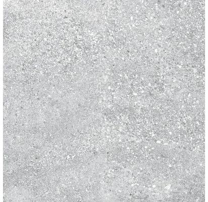 Dlažba Stein sivá 60x60 cm