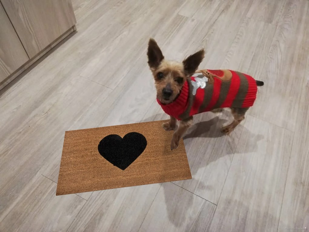 Hanse Home, Rohožka srdce kokos 105672 – na von aj na doma, 45x75, hnedá, chodba / predsieň