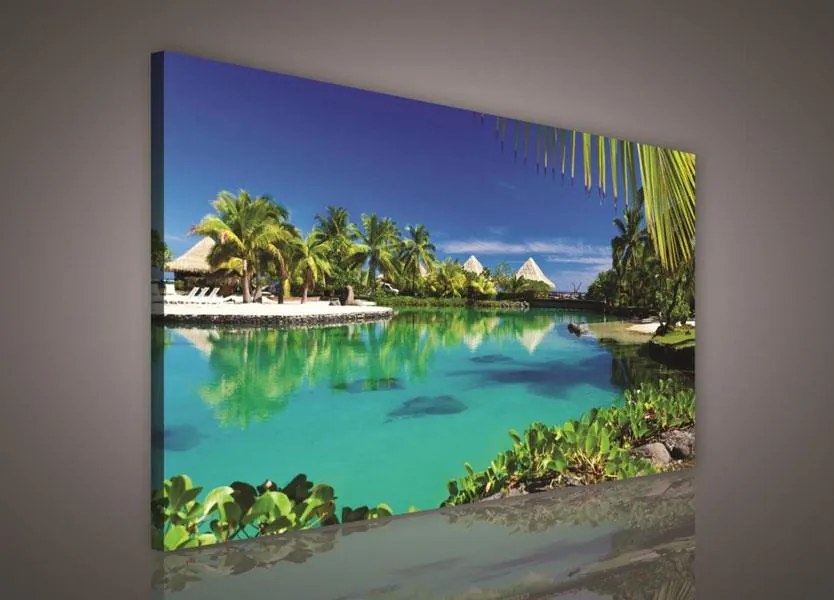 Obraz na stenu Paradise 100 x 75 cm