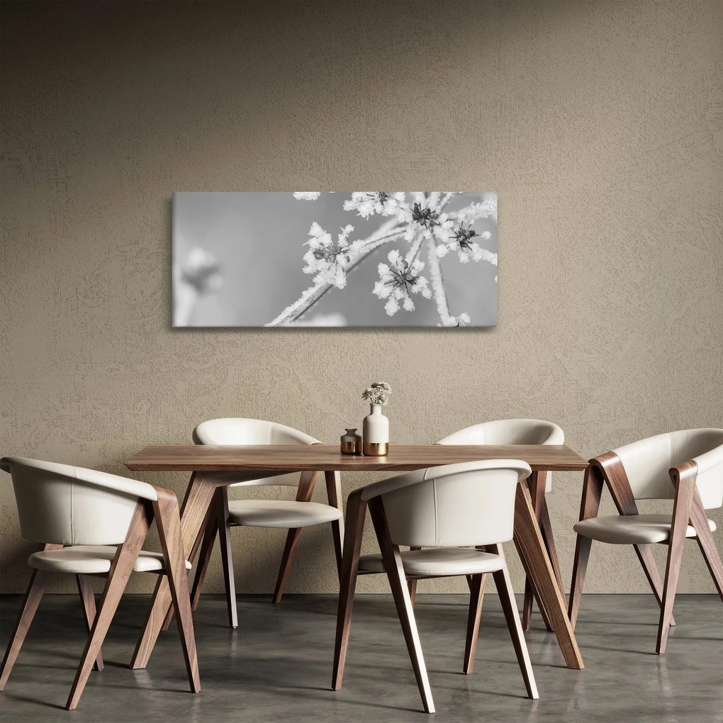 Obraz - Zamrznutá rastlina (120x50 cm)