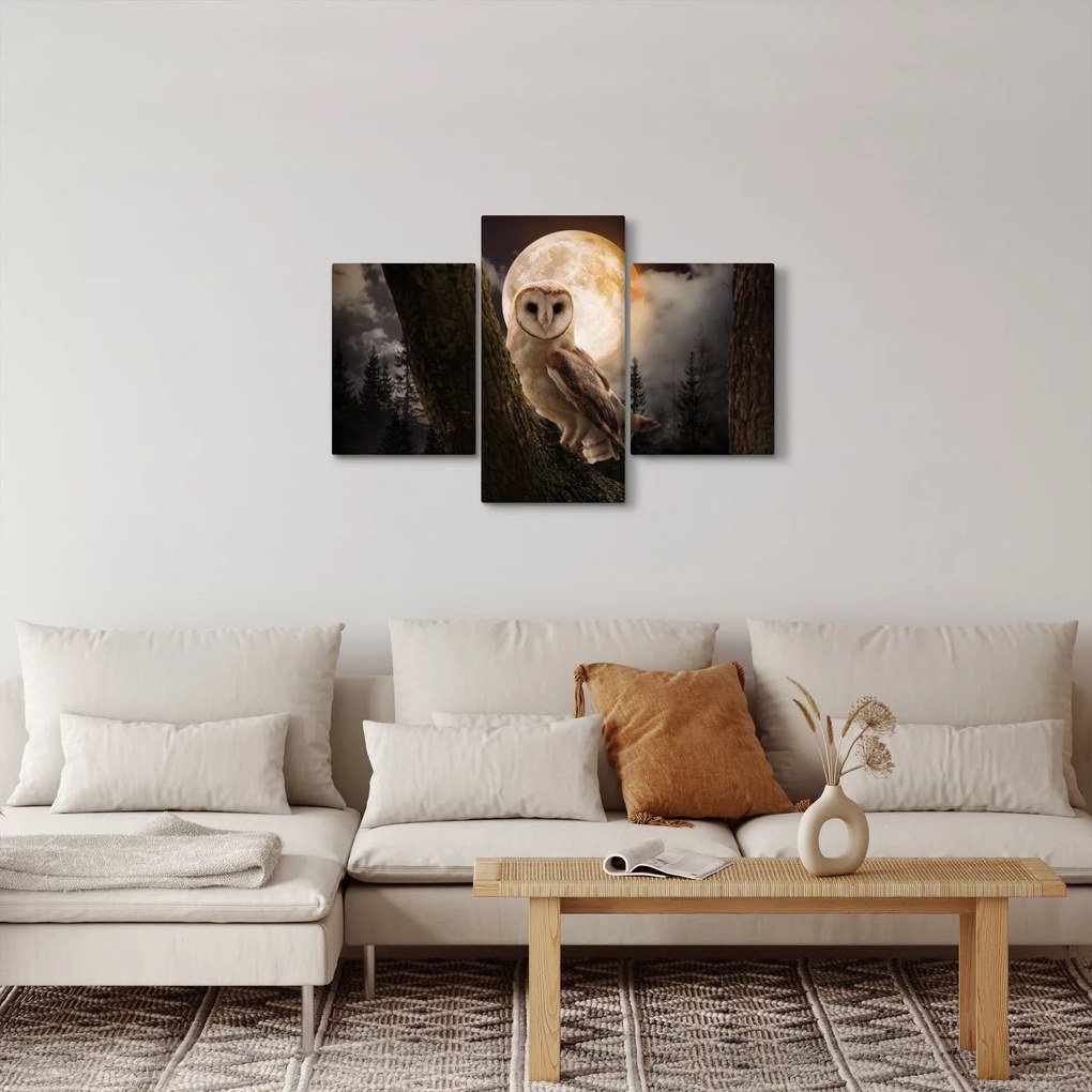 Obraz sovy (90x60 cm)