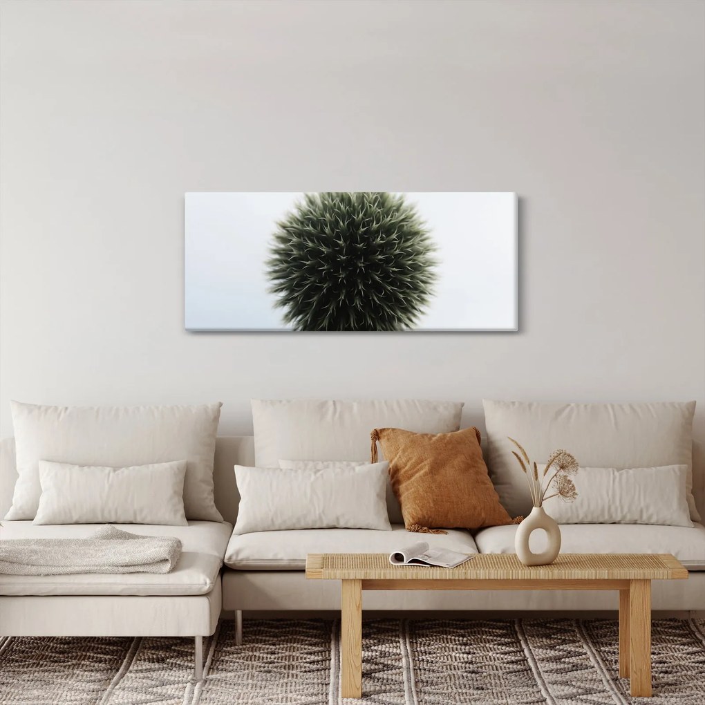 Obraz kvetinové gule (120x50 cm)