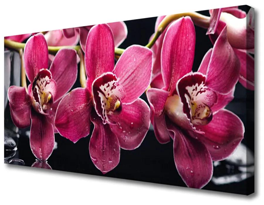 Obraz Canvas Kvety orchidey výhonky príroda 140x70cm