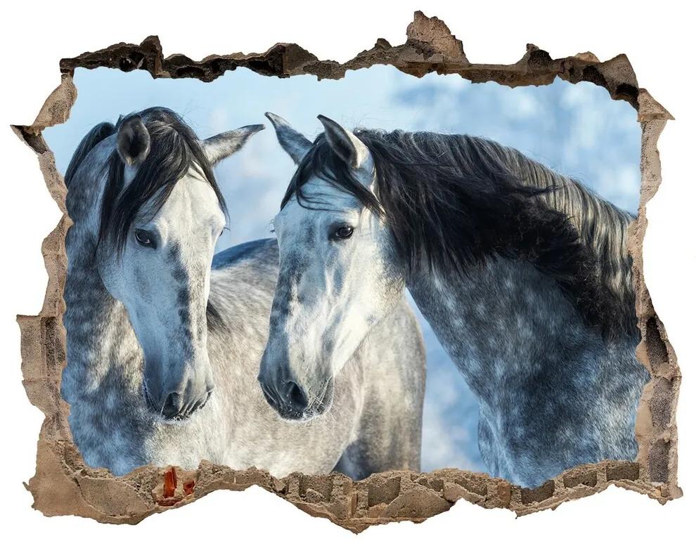 Díra 3D fototapeta nálepka Gray kone v zime nd-k-116887257