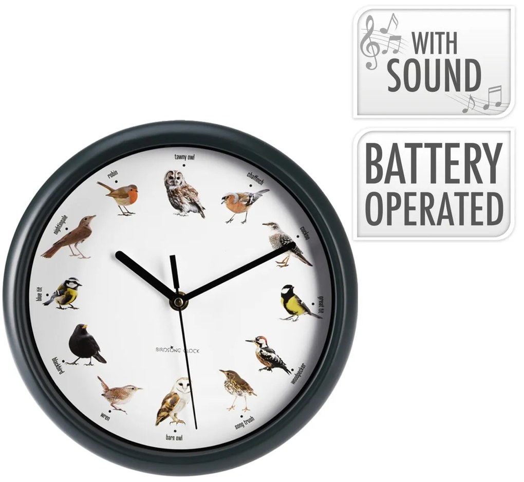 Nástenné hodiny Birds, biela/zelená