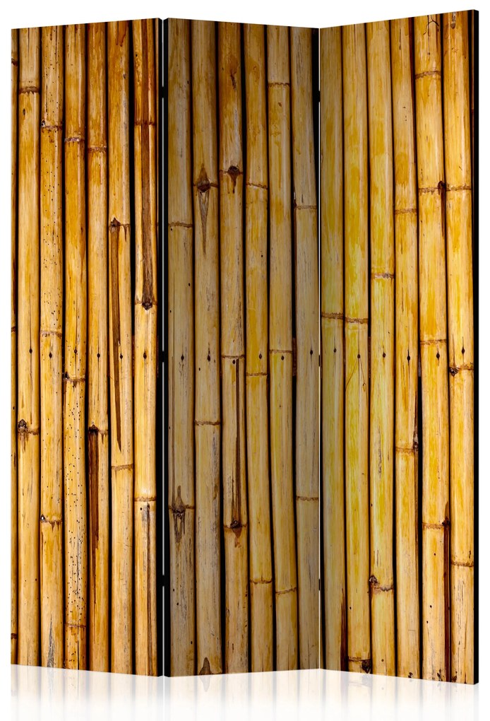 Artgeist Paraván - Bamboo Garden [Room Dividers]