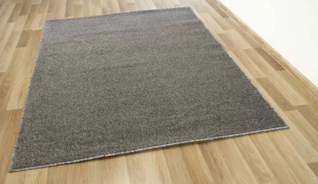 Koberec Birch 69 sivý
