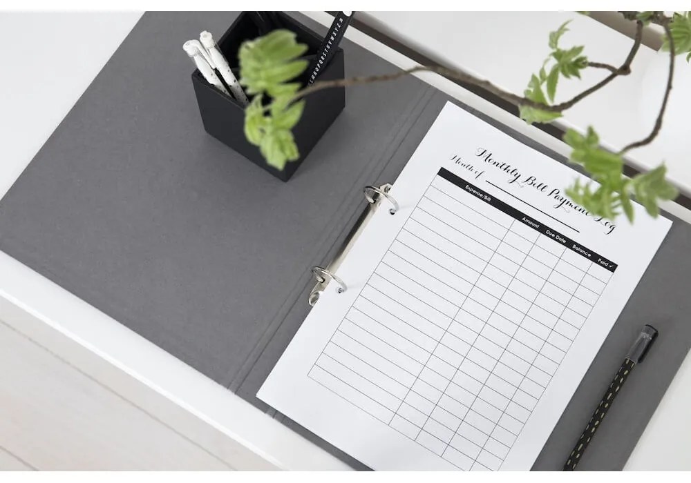 Kartónový organizér na dokumenty Ringo – Bigso Box of Sweden