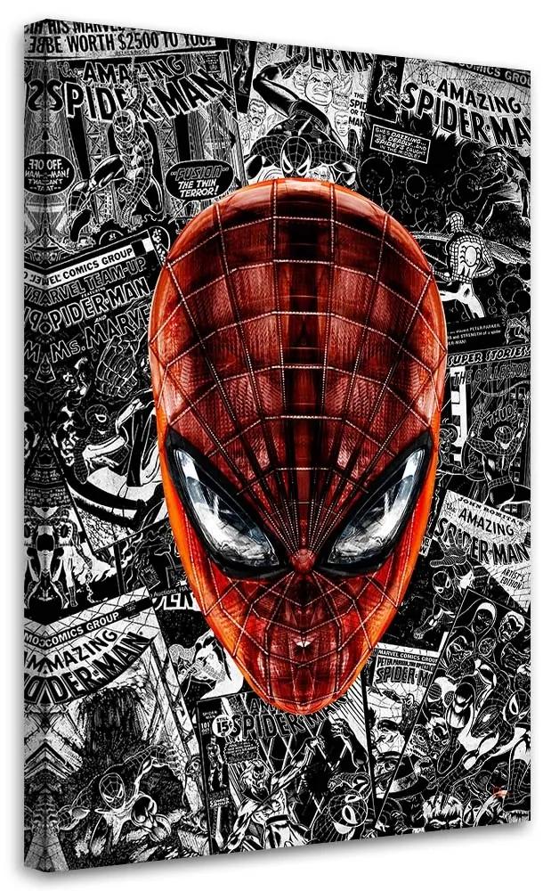 Gario Obraz na plátne Spidermanova tvár - Rubiant Rozmery: 40 x 60 cm