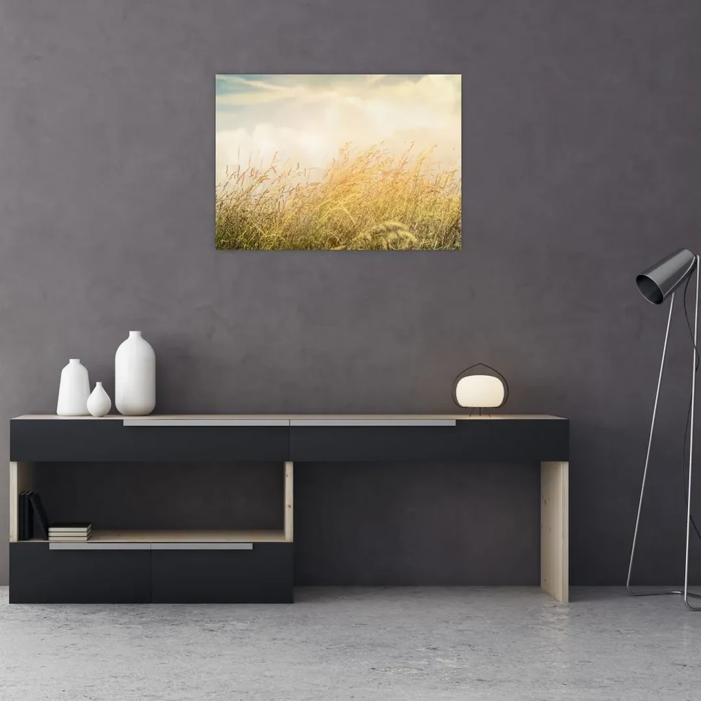 Obraz - Pole na jeseň (70x50 cm)