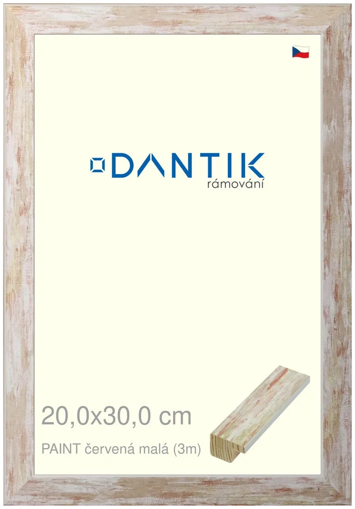DANTIK rám na obraz 20x30 | PAINT červená malá (Sklo Čiré)