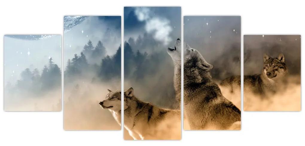 Obraz - vyjící vlci