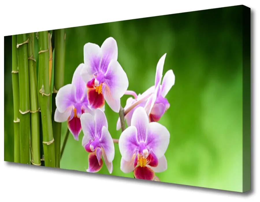 Obraz Canvas Bambus orchidea kvety zen 120x60 cm