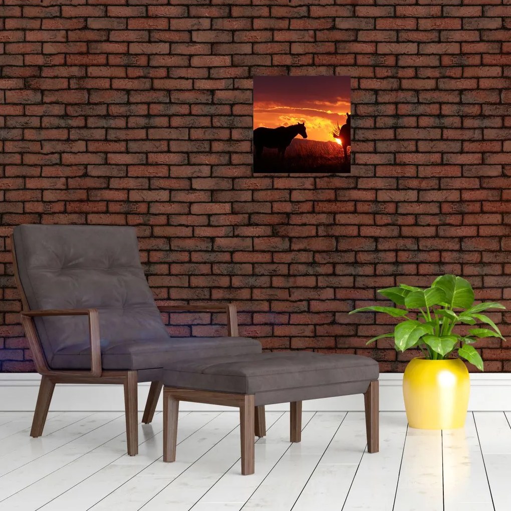 Obraz - kone pri západe slnka