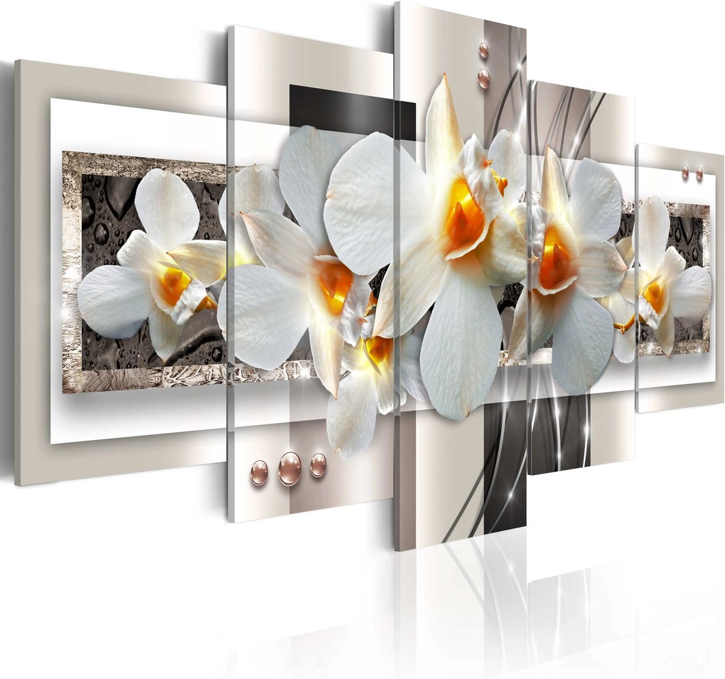 Obraz - White discretion 100x50