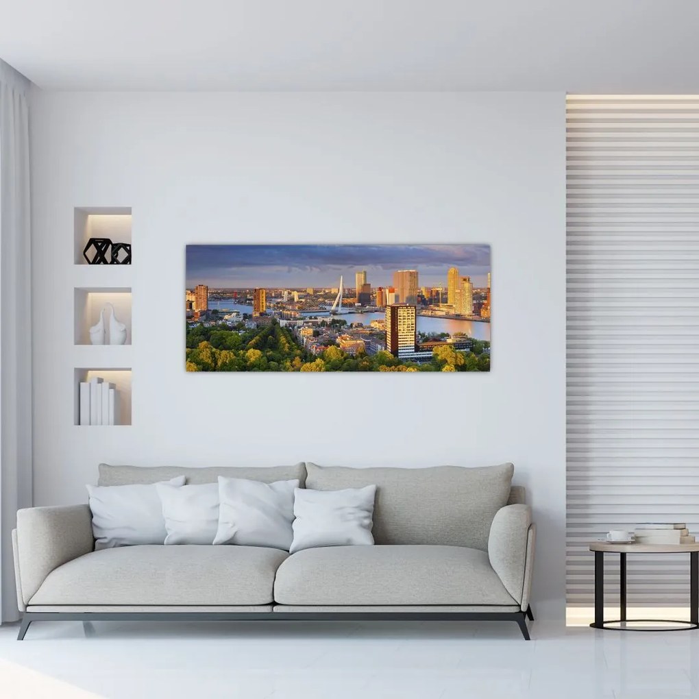 Obraz - Panorama Rotterdamu, Holandsko (120x50 cm)