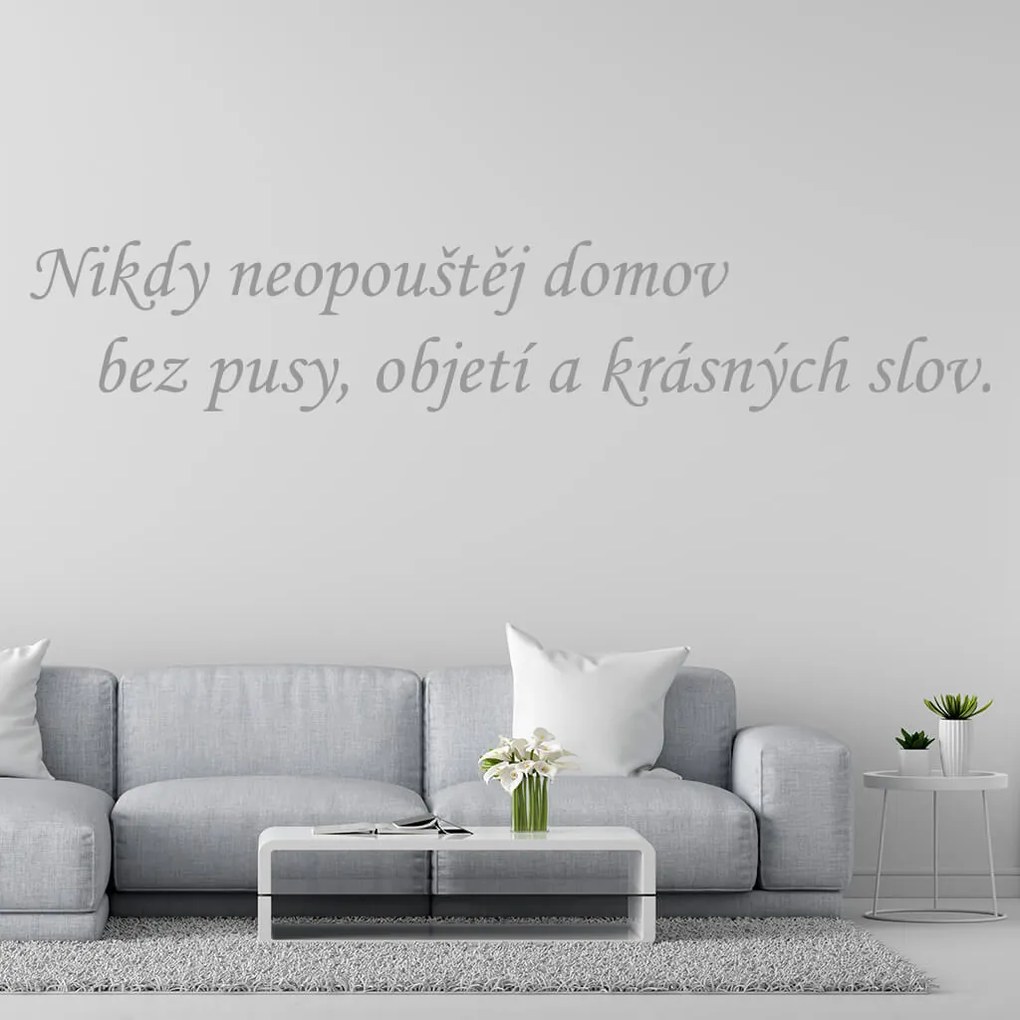 Veselá Stena Samolepka Nikdy neopúšťaj domov bez pusy, objatia a krásnych slov Farba: růžová, Veľkosť: 80 x 18 cm