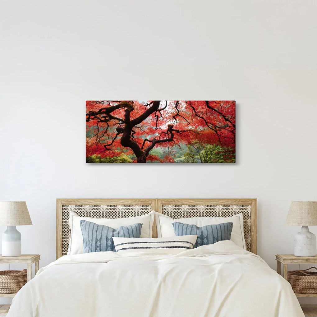Obraz červeného japonského javora, Portland, Oregon (120x50 cm)