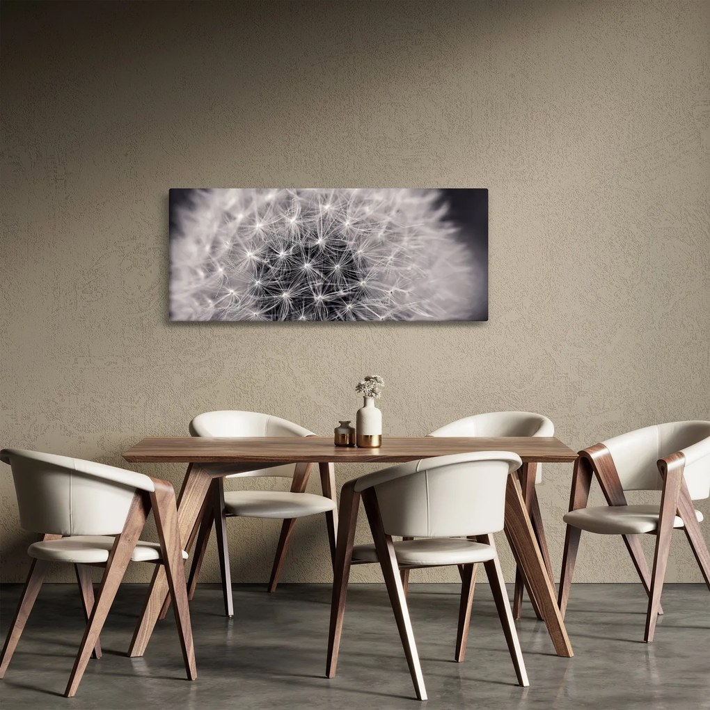 Obraz púpavy (120x50 cm)